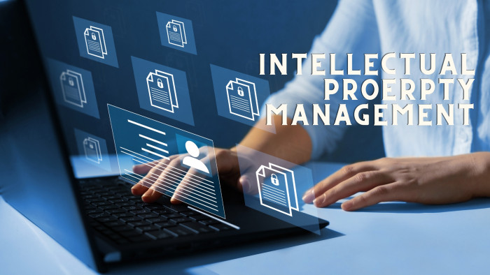 IP Management Canva Image
